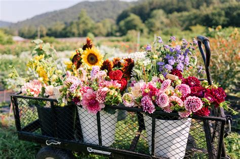 Floret farms - Benzakein, author of several books on flowers, and her husband, Chris, run Floret Flower Farm near Mount Vernon, growing flowers for seed sold via online order. The four-episode first season ...